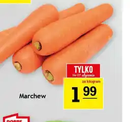 Gram Market Marchew oferta