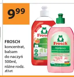 Drogerie Laboo Koncentrat do naczyń Frosch oferta
