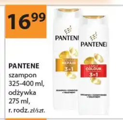 Drogerie Laboo Szampon Pantene oferta