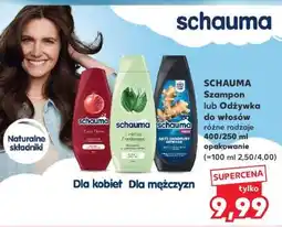 Kaufland SCHAUMA Szampon lub Odżywka do włosów oferta