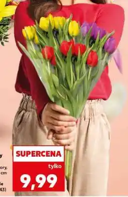 Kaufland Bukiet tulipanów oferta