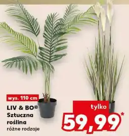 Kaufland LIV & BO Sztuczna roślina oferta