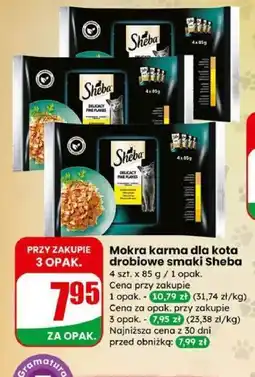 Dino Mokra karma dla kota drobiowe smaki Sheba oferta