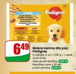 Dino Mokra karma dla psa Pedigree oferta