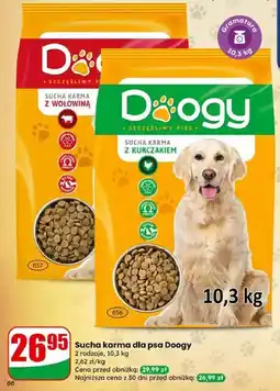 Dino Sucha karma dla psa Doogy oferta