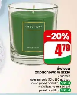 Dino Świeca zapachowa w szkle oferta