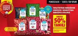 Biedronka Mrożone owoce i warzywa Mroźna Kraina oferta