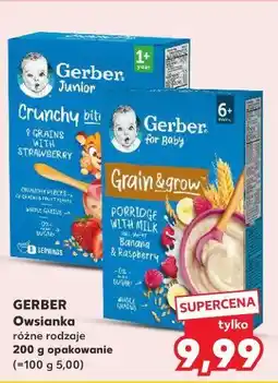 Kaufland Gerber Owsianka różne rodzaje oferta