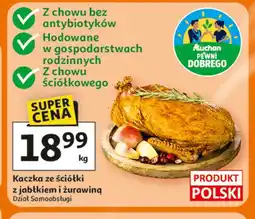 Auchan Kaczka ze ściółki z jabłkiem i żurawiną oferta
