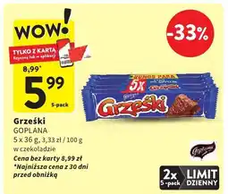 Intermarche Storczyk 1-pędowy oferta