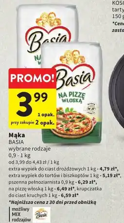 Intermarche Storczyk 1-pędowy oferta