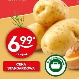 Żabka Ziemniaki jadalne siatka oferta