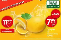 Żabka Cytryna Cytryna oferta