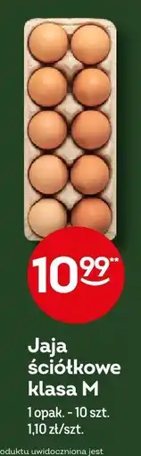 Żabka Jaja Jajaściółkowe klasa M oferta