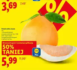 Lidl Ser gouda XXL Pilos oferta