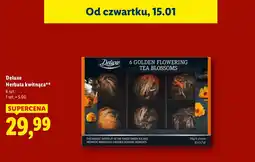 Lidl Wszystkie herbaty i herbatki Lord Nelson oferta