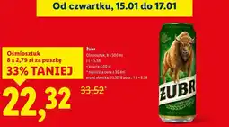 Lidl Piwo Żubr oferta