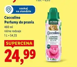 Lidl Coccolino Perfumy do prania oferta