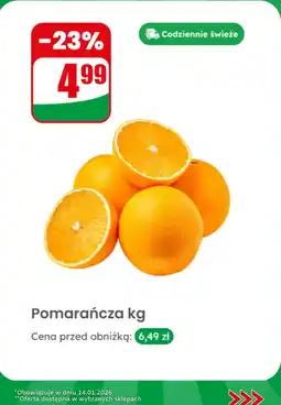 Dino Pomarańcza oferta