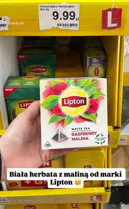 Dino Herbata biała z maliną oferta