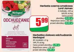 Dino Herbata czarna smakowa oferta