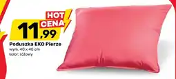 Bricomarche Poduszka Eko oferta