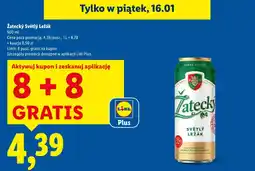 Lidl Piwo Zatecky oferta
