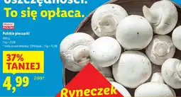 Lidl Pieczarki Polski oferta