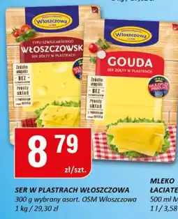 Chorten Ser OSM Włoszczowa oferta