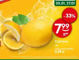 Żabka Cytryna oferta