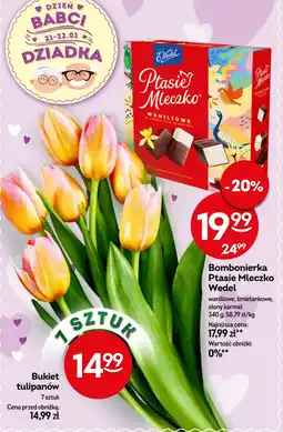 Żabka Bukiet tulipanów Ptasie Mleczko oferta