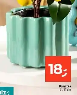 Dealz Doniczka 14 cm oferta