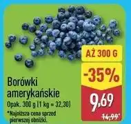 ALDI Borówki amerykańskie oferta