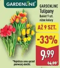 ALDI GARDENLINE Tulipany (bukiet 9 szt.) oferta