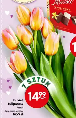 Żabka Bukiet tulipanów (7 sztuk) oferta