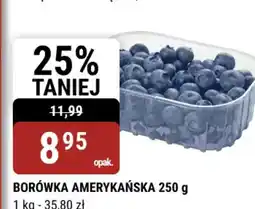 bi1 Borówka amerykańska oferta