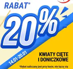 bi1 Kwiaty cięte i doniczkowe oferta