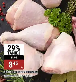 bi1 Udo lub podudzie z kurczaka oferta