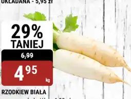 bi1 Rzodkiew biała oferta