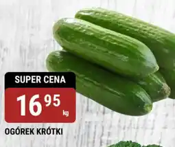 bi1 Ogórek krótki oferta