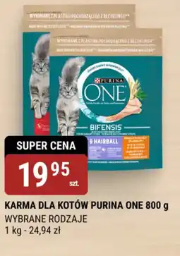 bi1 Purina ONE karma dla kotów oferta