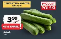Netto Ogórek oferta