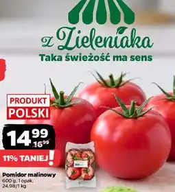 Netto Pomidor malinowy oferta