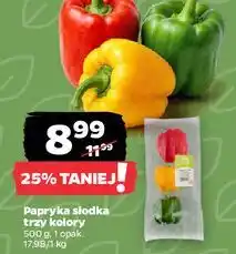 Netto Papryka słodka trzy kolory oferta