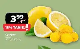 Netto Cytryna oferta