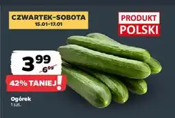 Netto Ogórek polska oferta