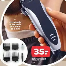 Netto Golarka Gallant oferta