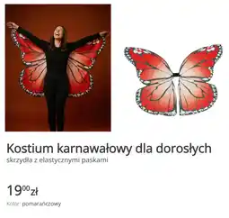 KiK Kostium karnawałowy dla dorosłych (skrzydła z elastycznymi paskami) oferta