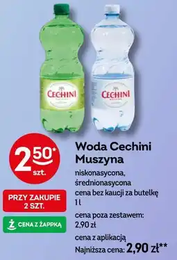 Żabka Woda Cechini Muszyna oferta