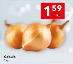 Lewiatan Cebula oferta